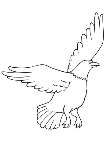 American Eagle Coloring Page